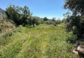 Non-developable land for sale on Calle Orilla Perales, Güéjar Sierra, ref: TR330594 photo