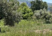 Non-developable land for sale on Calle Orilla Perales, Güéjar Sierra, ref: TR330594 photo