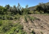 Non-developable land for sale on Calle Orilla Perales, Güéjar Sierra, ref: TR330594 photo