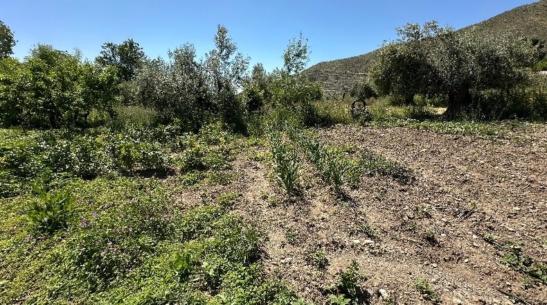 Granada - Güéjar Sierra - 3982m2