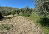 Non-developable land for sale on Calle Orilla Perales, Güéjar Sierra, ref: TR330594 photo