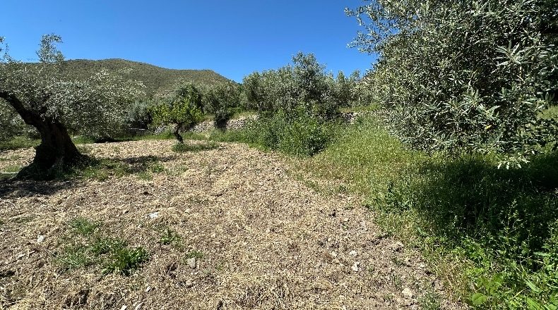Granada - Güéjar Sierra - 3982m2