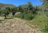 Non-developable land for sale on Calle Orilla Perales, Güéjar Sierra, ref: TR330594 photo
