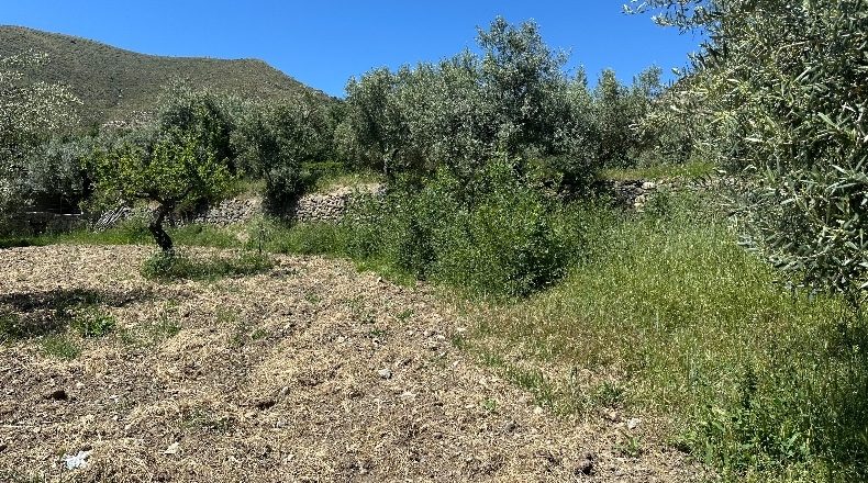 Granada - Güéjar Sierra - 3982m2