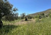 Non-developable land for sale on Calle Orilla Perales, Güéjar Sierra, ref: TR330594 photo