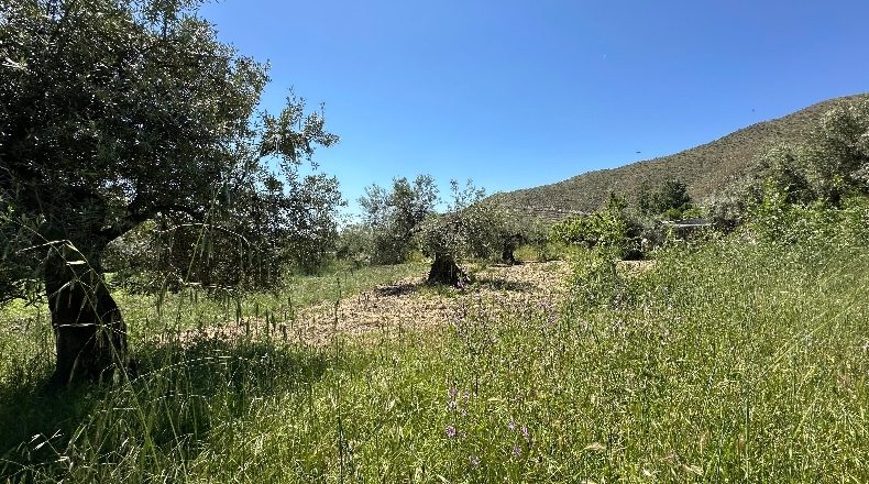 Granada - Güéjar Sierra - 3982m2