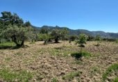 Non-developable land for sale on Calle Orilla Perales, Güéjar Sierra, ref: TR330594 photo