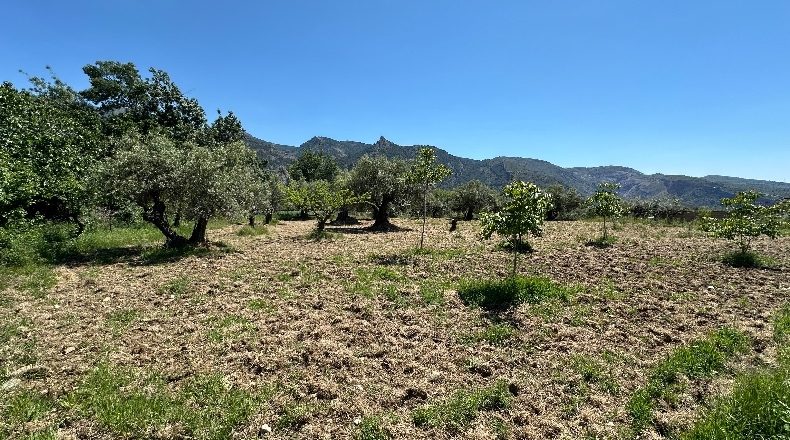 Granada - Güéjar Sierra - 3982m2