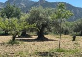 Non-developable land for sale on Calle Orilla Perales, Güéjar Sierra, ref: TR330594 photo