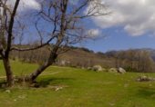 Land suitable for development for sale on COLLADO DEL HOYO, Cercedilla, ref: TR330713 photo