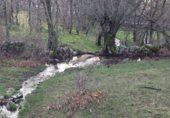 Land suitable for development for sale on COLLADO DEL HOYO, Cercedilla, ref: TR330713 photo