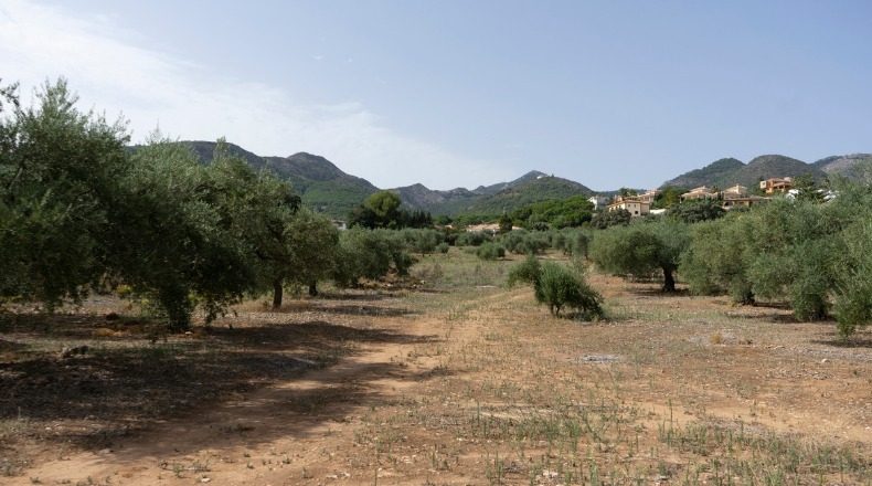 Malaga - Alhaurín de la Torre - 25000m2