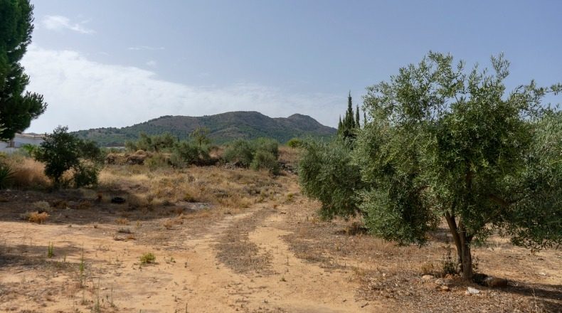 Malaga - Alhaurín de la Torre - 25000m2