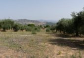 Suelo urbano en venta en la Calle Algarrobo 64, Alhaurín de la Torre, ref: TR330718 foto