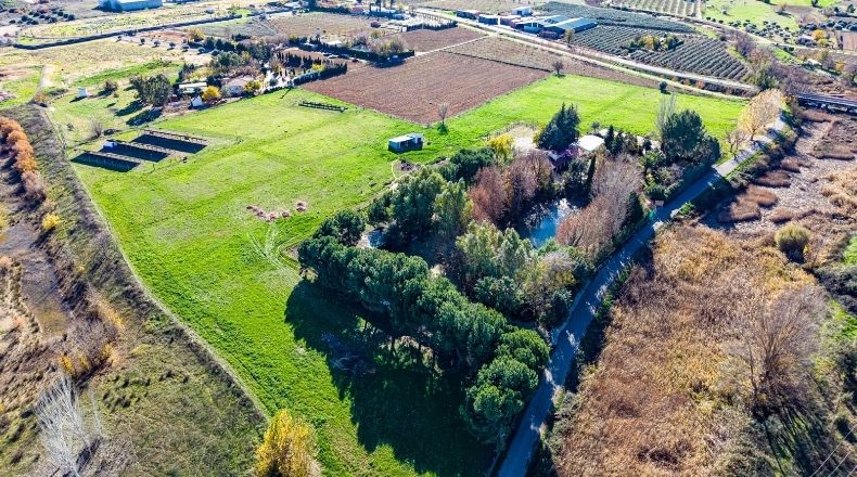Сьюдад-Реаль - Malagón - 8000m2