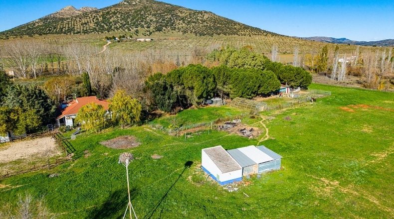 Сьюдад-Реаль - Malagón - 8000m2