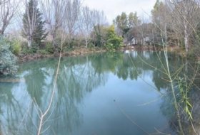 Foto 12
