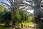 Chalet independiente con terreno en venta en la Parque el chaparrillo sn, Malagón, ref: TR331255 foto