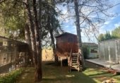 Chalet independiente con terreno en venta en la Parque el chaparrillo sn, Malagón, ref: TR331255 foto