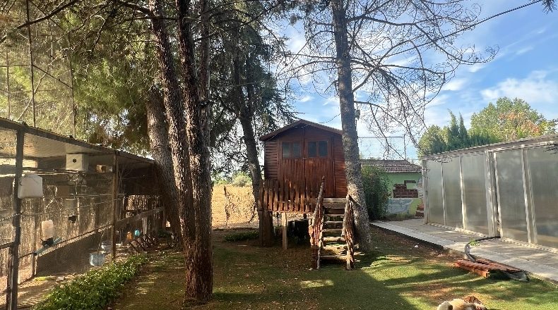 Сьюдад-Реаль - Malagón - 8000m2