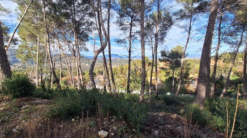 Barcelona - Corbera de Llobregat - 800m2