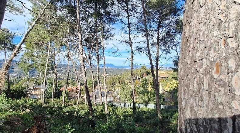 Barcelona - Corbera de Llobregat - 800m2
