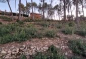 Suelo urbano en venta en la Carrer del Principat de Catalunya, Corbera de Llobregat, ref: TR331290 foto