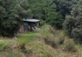 Finca rústica en venda a la Carrer de l'Alzina, Bigues, ref.: TR332129 foto