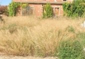 Sòl urbà en venda a la Carrer Gaia, Vilabella, ref.: TR332228 foto