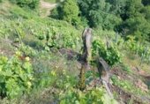 Земля на продажу у города Taboada Фото