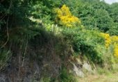 Земля на продажу у города Taboada Фото
