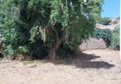 Sòl urbà en venda a la Calle Miralrío, Belver de los Montes, ref.: TR333179 foto