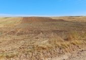 Non-developable land for sale on La santa iglesia poligono 1 parcela 31, Albarreal de Tajo, ref: TR333195 photo