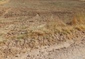 Non-developable land for sale on La santa iglesia poligono 1 parcela 31, Albarreal de Tajo, ref: TR333195 photo