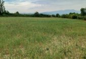 Non-developable land for sale on Avenida la Paz, Tarazona, ref: TR334307 photo