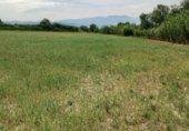 Non-developable land for sale on Avenida la Paz, Tarazona, ref: TR334307 photo