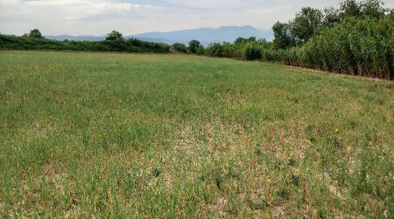 Сарагоса - Tarazona - 5600m2