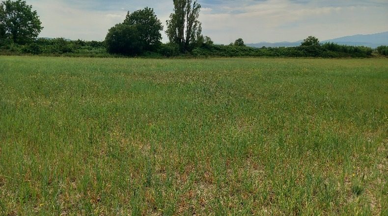 Сарагоса - Tarazona - 5600m2