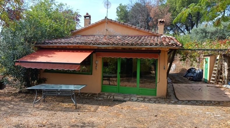 Ávila - Candeleda - 30000m2