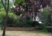 Country house with land for sale on Carretera AV 929 km20, Candeleda, ref: TR334552 photo