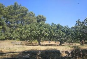 Candeleda 30000&nbsp;m² 