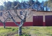Country house with land for sale on Carretera AV 929 km20, Candeleda, ref: TR334552 photo