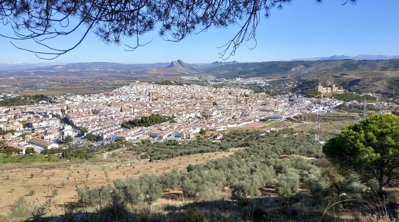 Malaga - Antequera - 28000m2