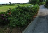 Sòl urbà en venda a la Carretera A Veiga / Vegadeo - Vilagarcía de Arousa, Castropol, ref.: TR337453 foto