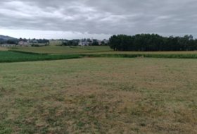 Castropol 3950&nbsp;м²