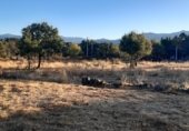 Sòl urbà en venda a la Calle Peña la Legua, Manjirón, ref.: TR337466 foto
