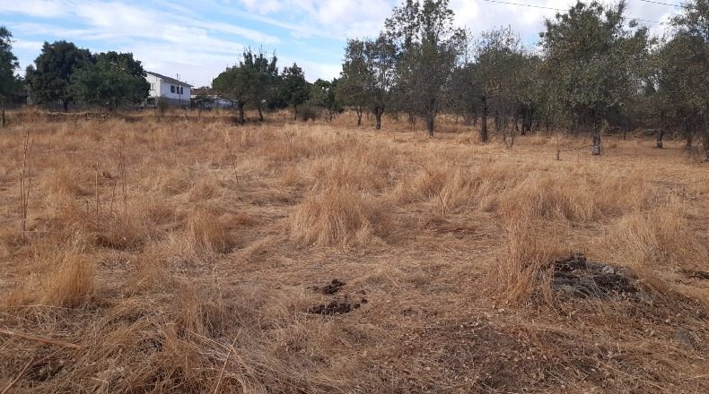 Мадрид - Manjirón - 12000m2