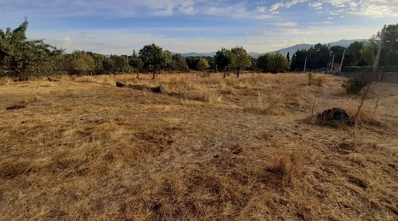 Мадрид - Manjirón - 12000m2