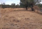 Sòl urbà en venda a la Calle Peña la Legua, Manjirón, ref.: TR337466 foto