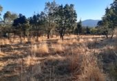 Sòl urbà en venda a la Calle Peña la Legua, Manjirón, ref.: TR337466 foto